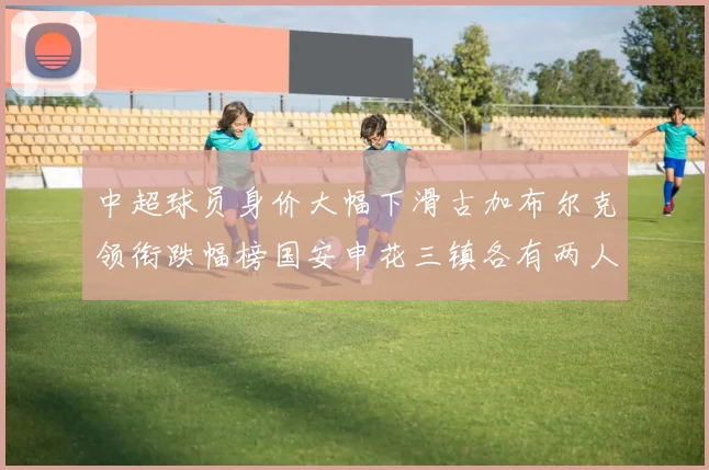 中超球员身价大幅下滑古加布尔克领衔跌幅榜国安申花三镇各有两人上榜